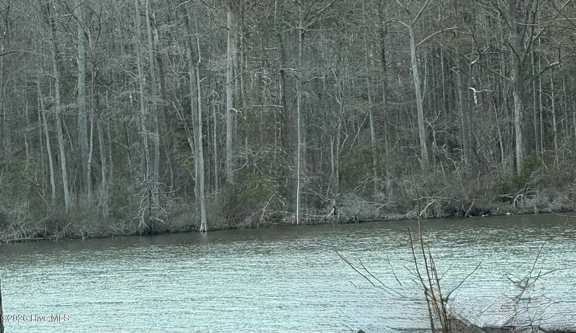 view from creek - 269 Creek Road, Bath, NC 27808