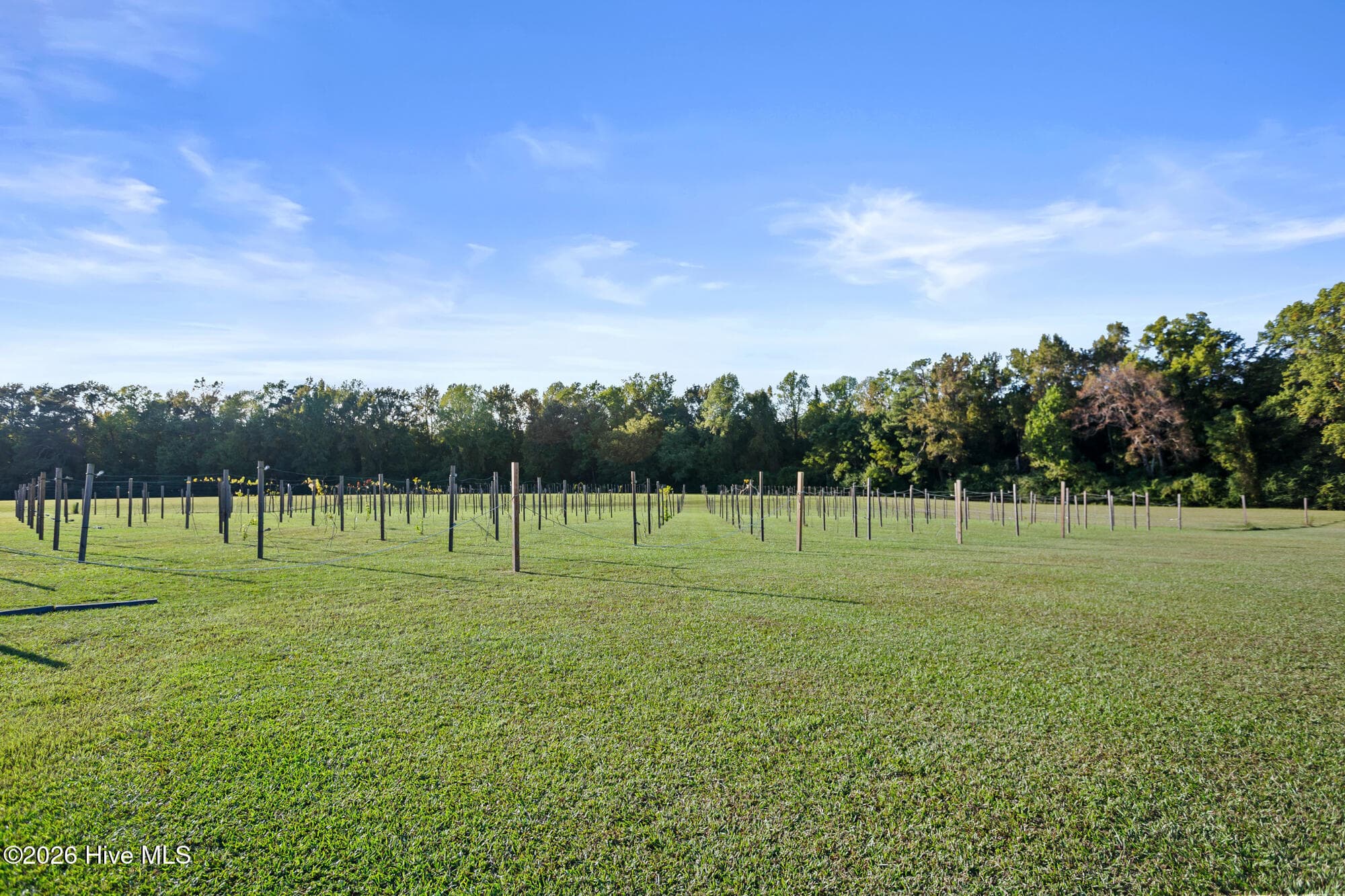 Single Family Residence at 2641 Union Valley Road, Whiteville, NC 28472, photo 6 of 60