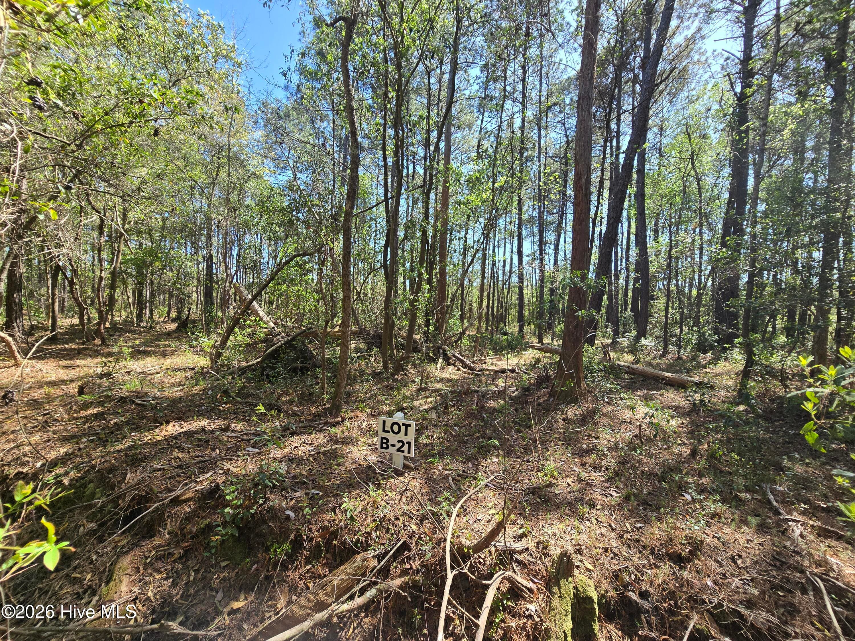 Lot B-21 B-21 Renee Drive, Hampstead, NC 28443