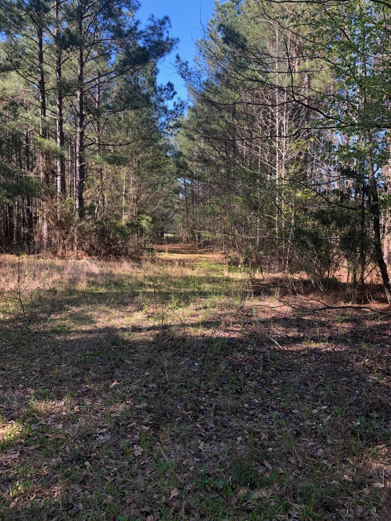 Undeveloped at 4.17 Acres Starr Hinson Road, Thomson, GA 30824, photo 17 of 17