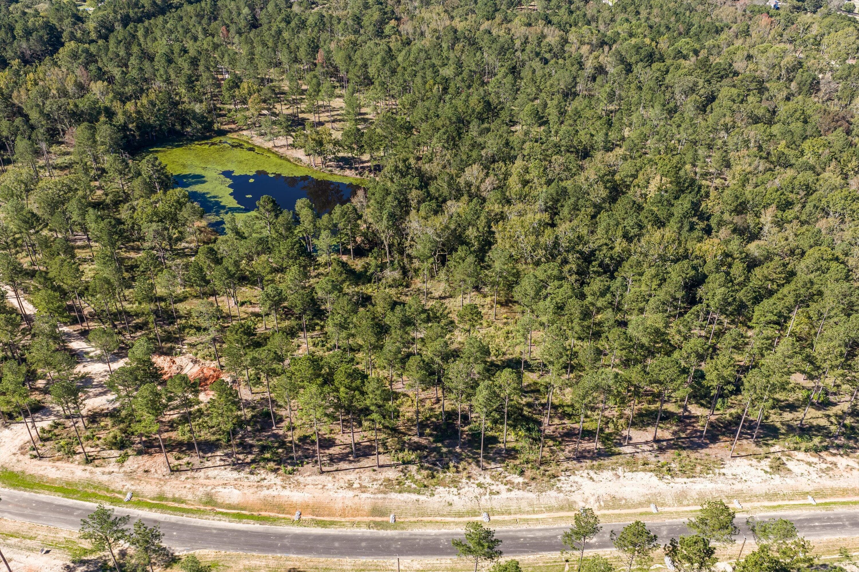 Residential Lot at 142 Beagle Chase Drive, Appling, GA 30802, photo 6 of 6