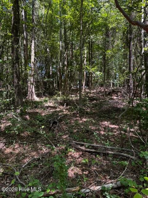 Undeveloped at Lot 1 Dan Road, Robbins, NC 27325, photo 11 of 22
