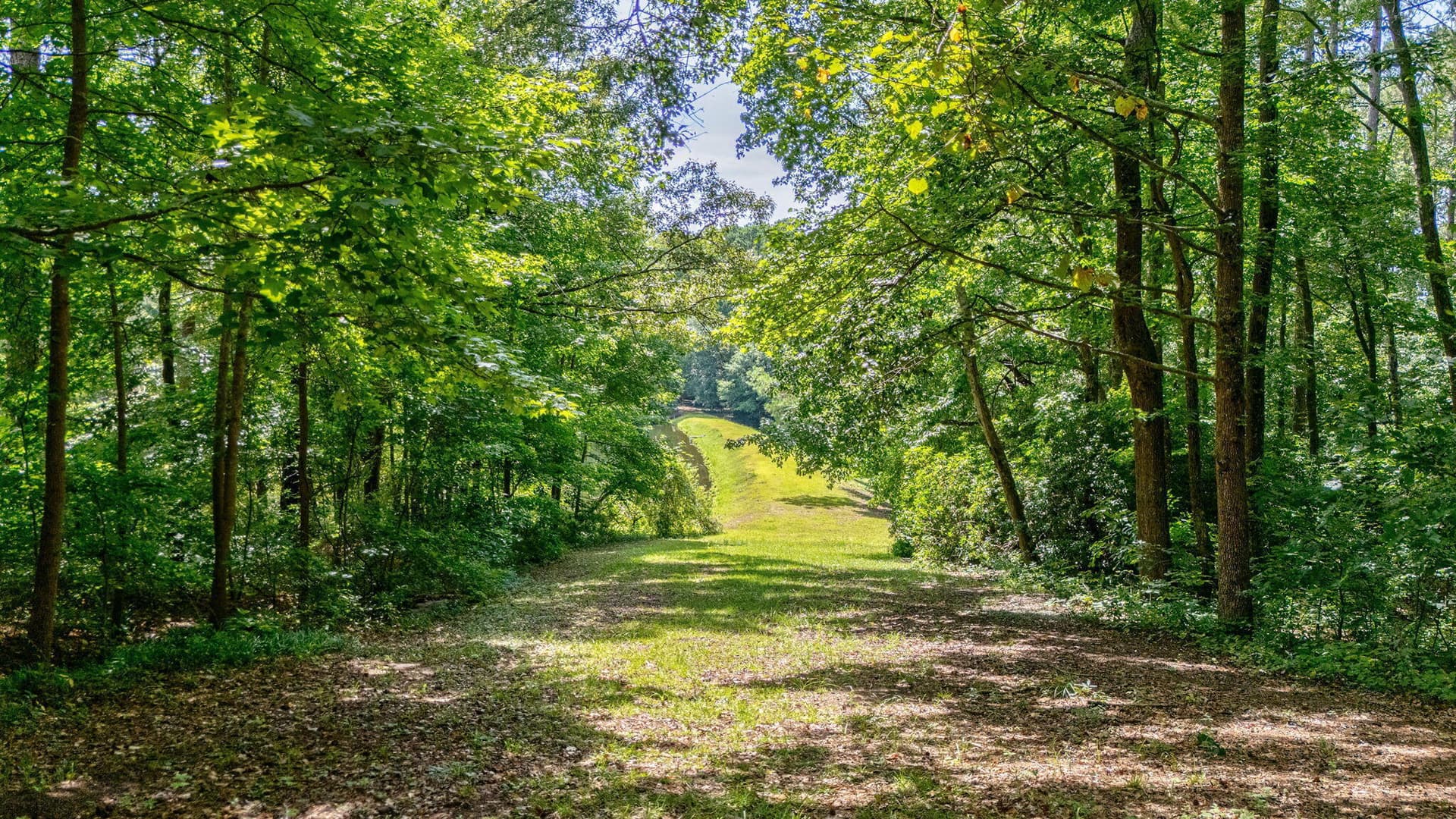 Undeveloped at 14 Woodspring Court, North Augusta, SC 29860, photo 11 of 12