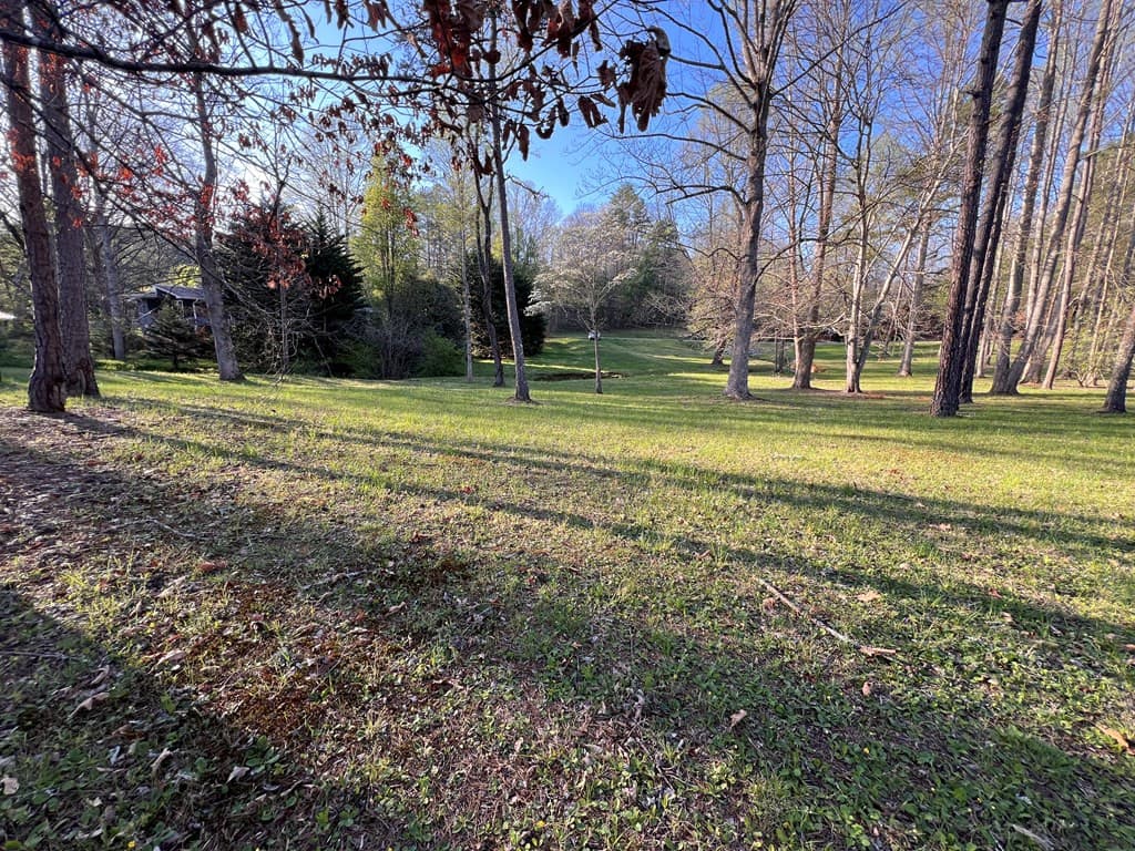 Land at Lot 2 Preserve Road, Murphy, NC 28906, photo 4 of 4