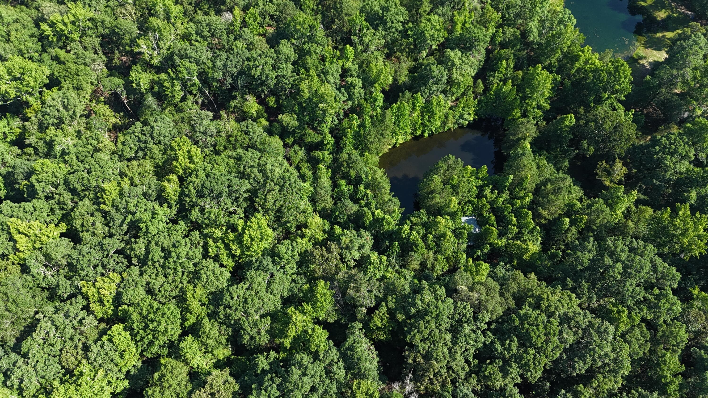 Undeveloped at 2031 Mcdade Road, Hephzibah, GA 30815, photo 8 of 16