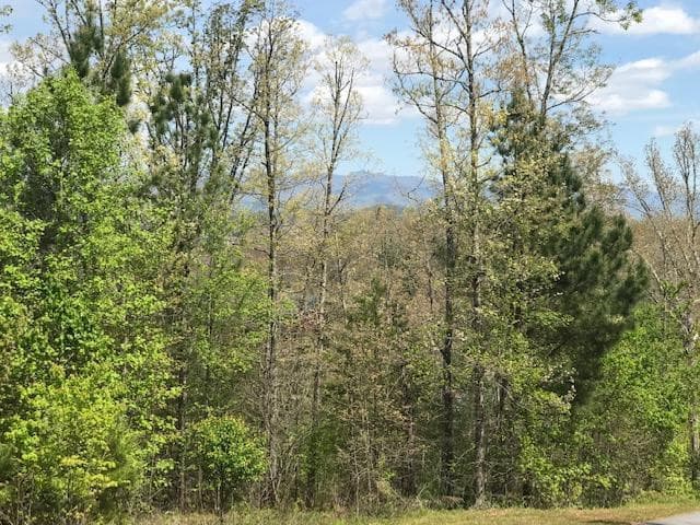 Lot 29 29 Brasstown View Road, Murphy, NC 28906