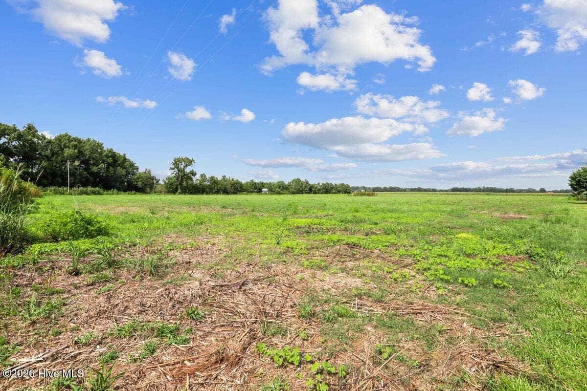 Residential Lot at Lot 1 Waller Road, Mount Olive, NC 28365, photo 15 of 16