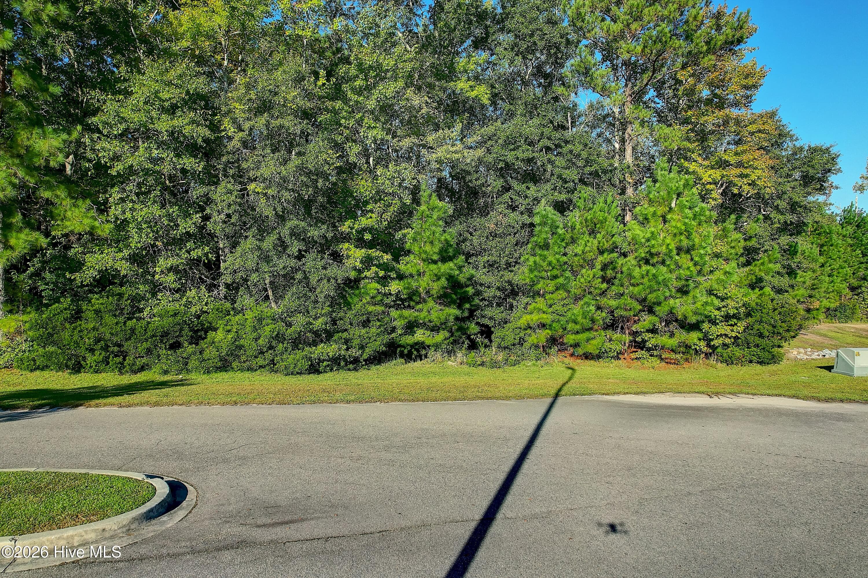 Undeveloped at 760 2 Standen Lane SW, Supply, NC 28462, photo 5 of 26