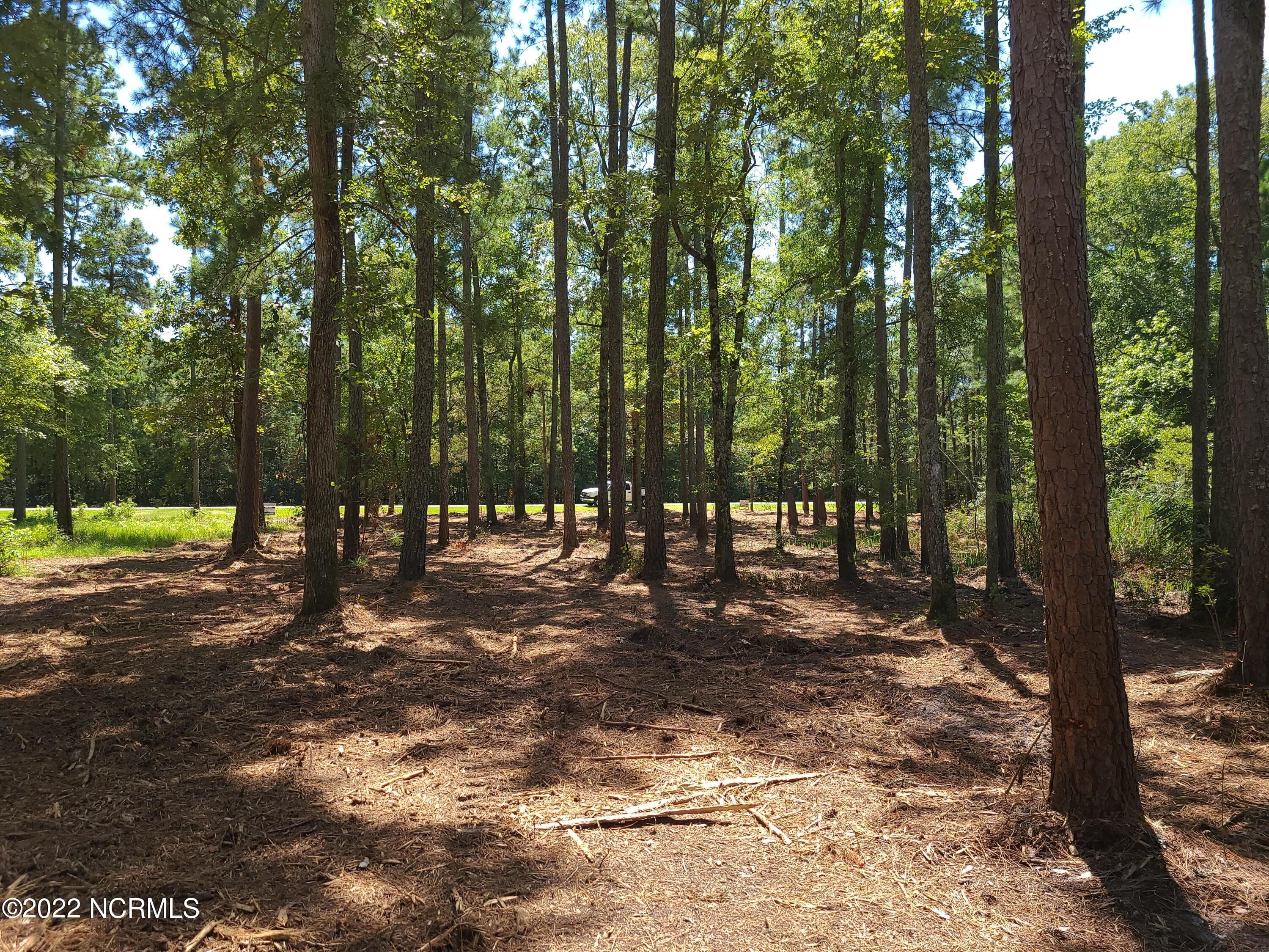 Residential Lot at 6 Ashton Drive, Bath, NC 27808, photo 2 of 2