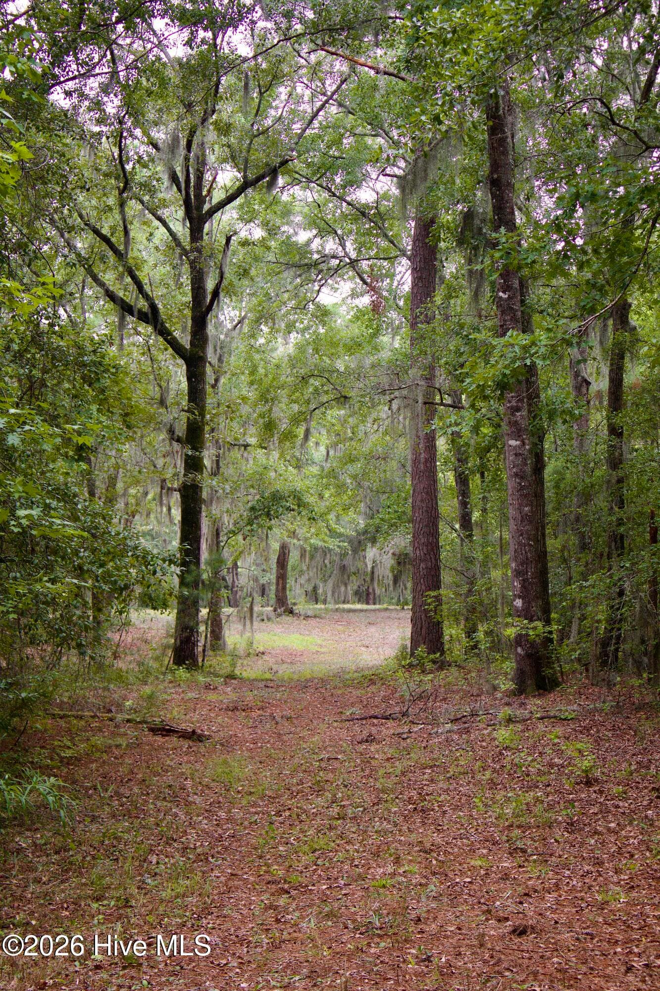 385 Sand Ridge Road, New Bern, NC 28560