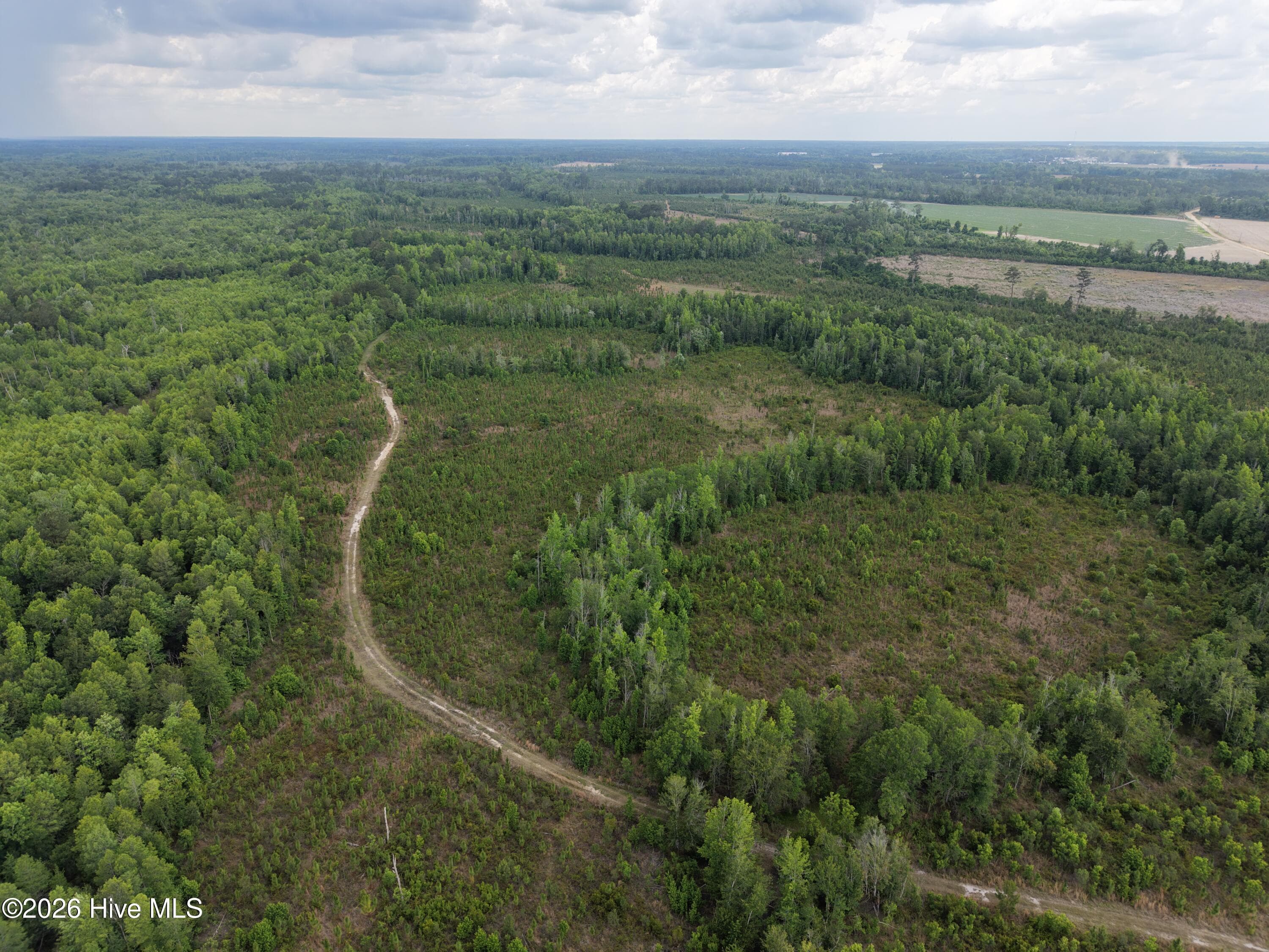Agriculture at 0 S Hwy 129, Metter, GA 30439, photo 11 of 16