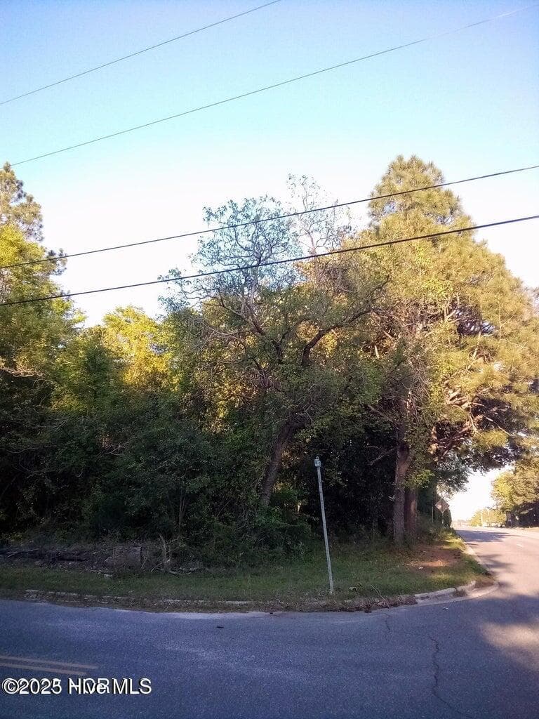 Residential Lot at Tbd Hwy 74 E, Hamlet, NC 28345, photo 4 of 7