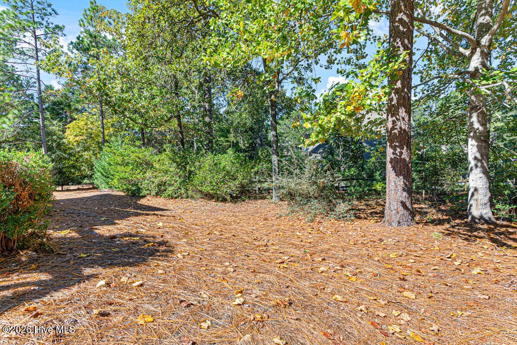 25 Ivy Way Pinehurst NC back yard - 25 Ivy Way, Pinehurst, NC 28374