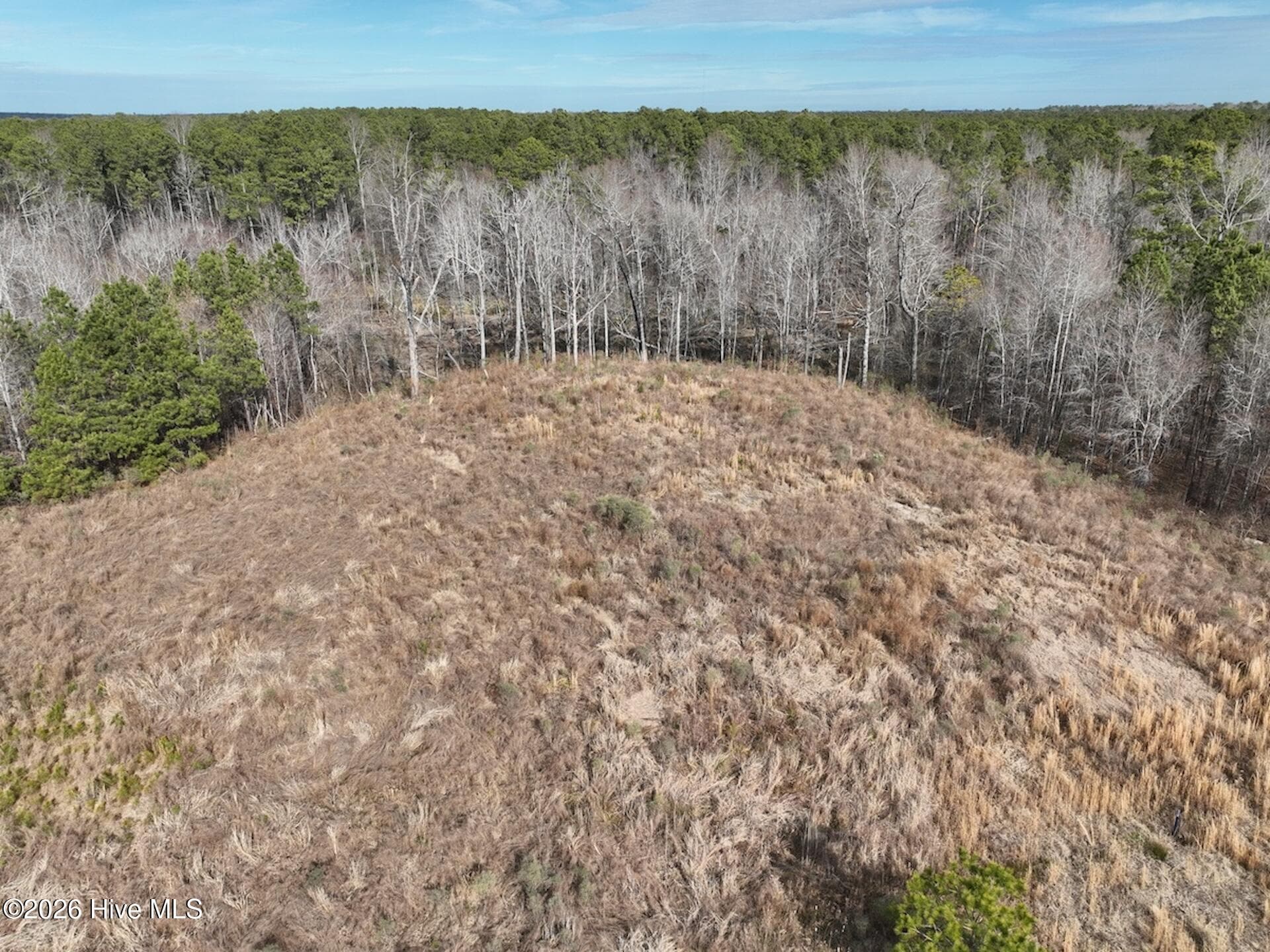 Residential Lot at 405 23 Batts Island Road, Edenton, NC 27932, photo 6 of 7