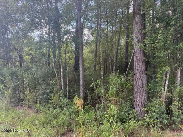 Residential Lot at 2539 Chauncey Town Road, Lake Waccamaw, NC 28450, photo 2 of 8