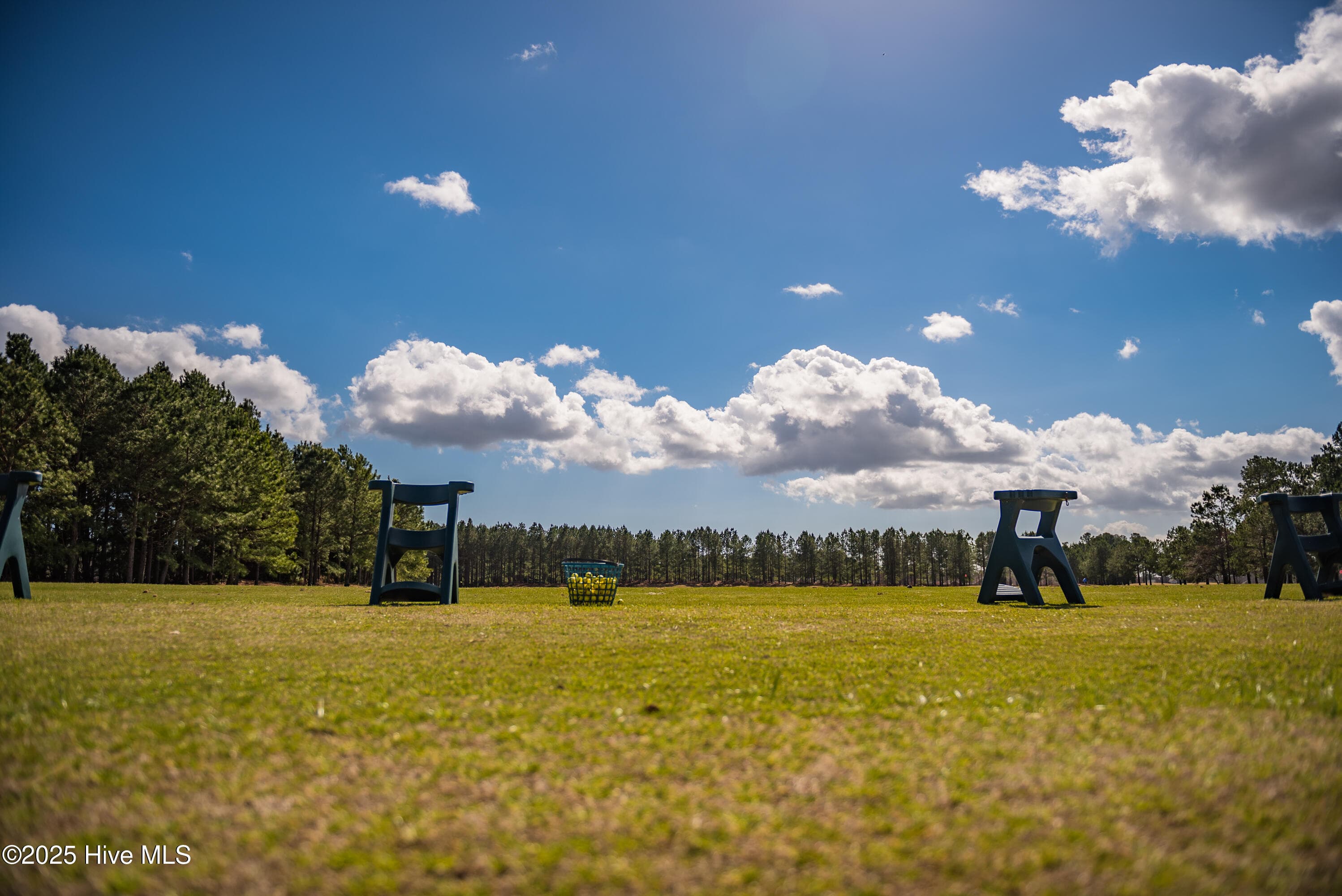 Driving Range - 205 103 Taberna Circle, New Bern, NC 28562