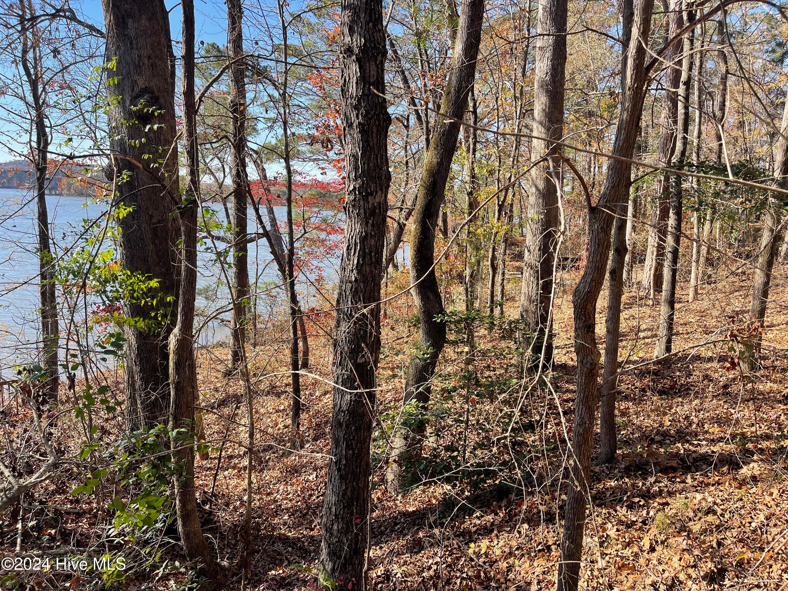 Residential Lot at 153 Vista Lane, Rockingham, NC 28379, photo 7 of 7