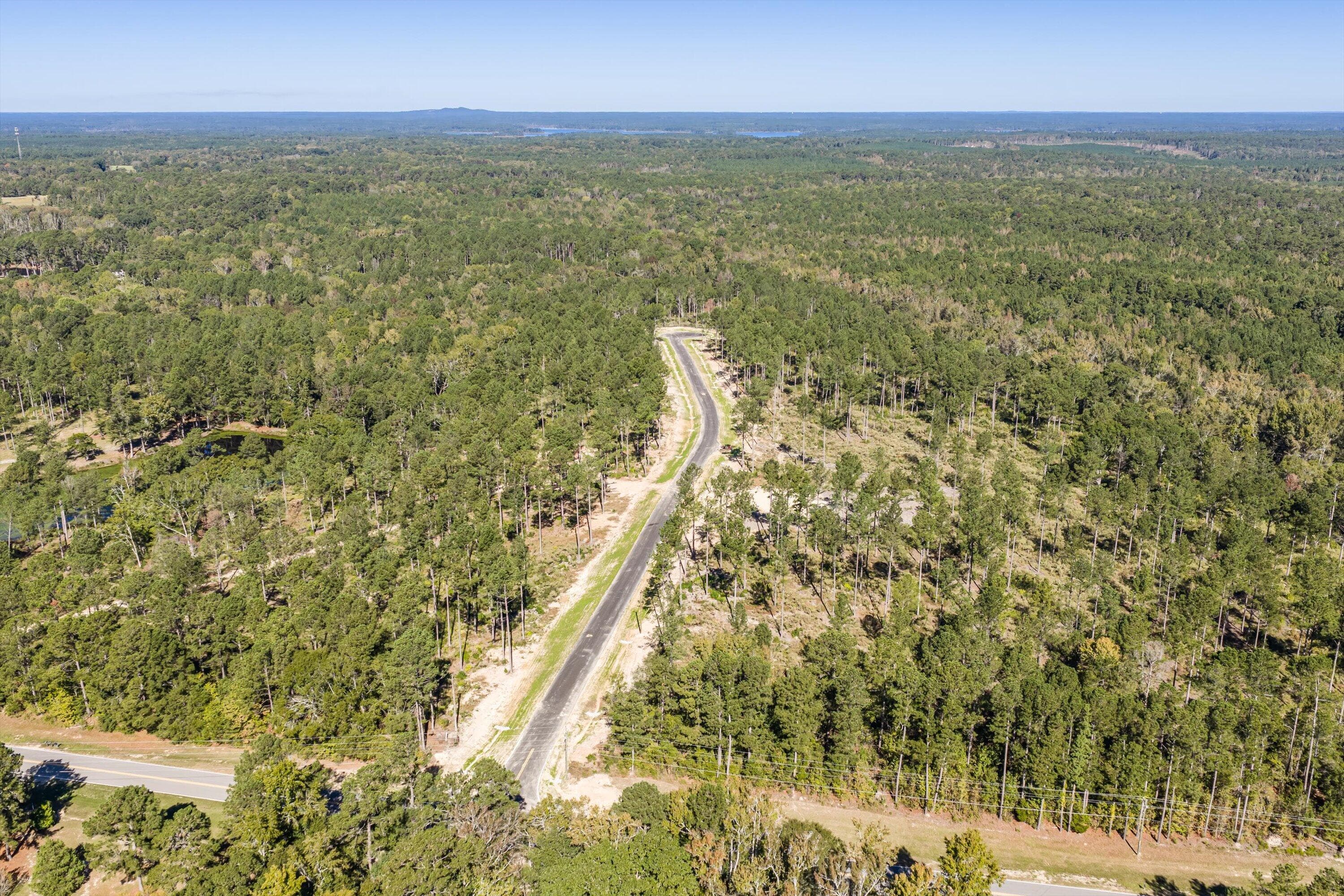 Residential Lot at 150 Beagle Chase Drive, Appling, GA 30802, photo 3 of 6