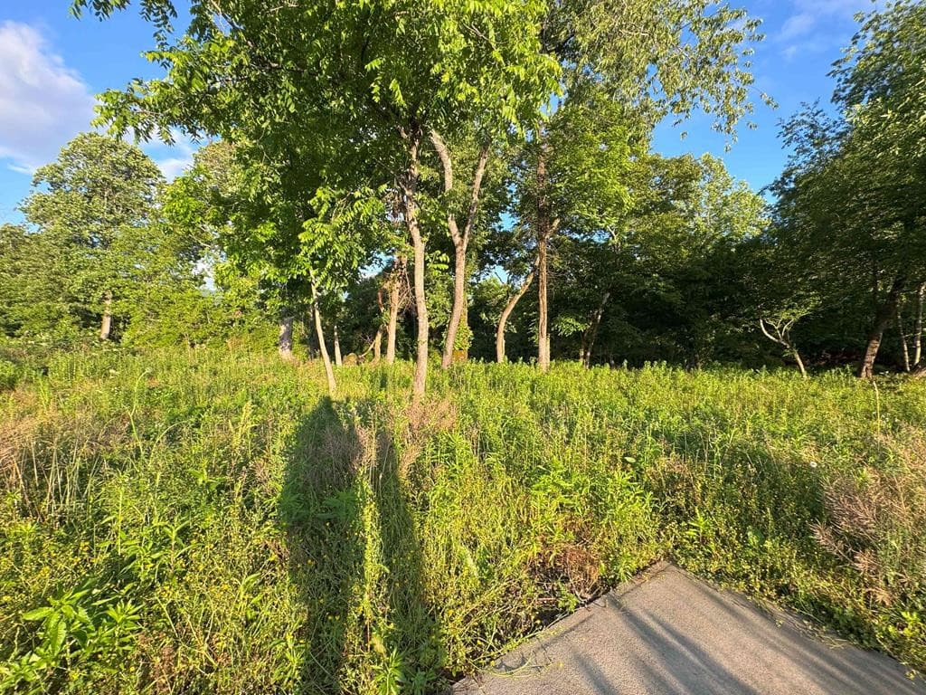 Land at 10.11 Valleytown Road, Andrews, NC 28901, photo 12 of 13