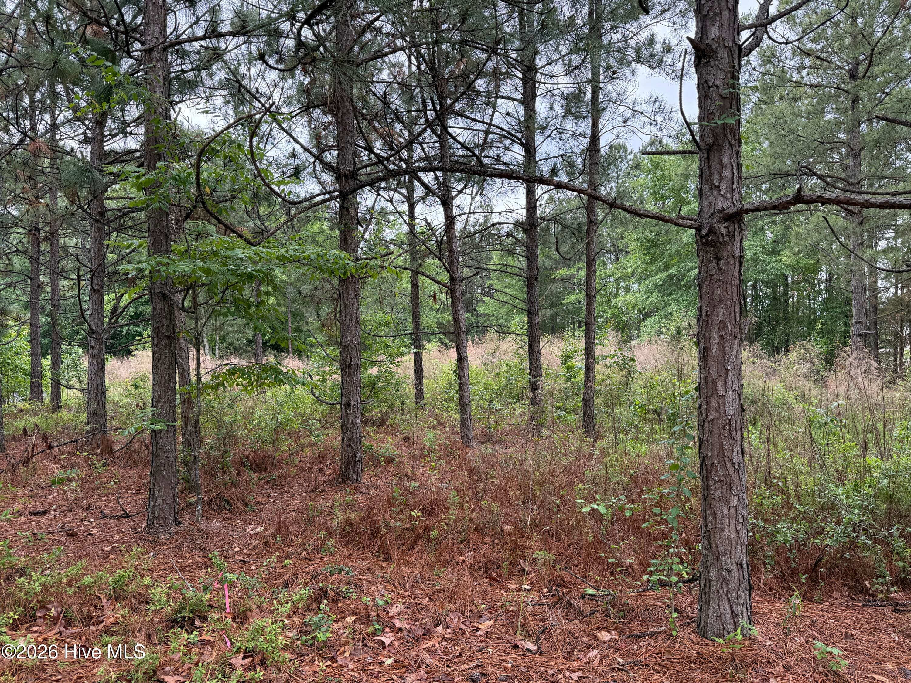Unimproved Land at 280 Murray Hill Road, Southern Pines, NC 28387, photo 2 of 4