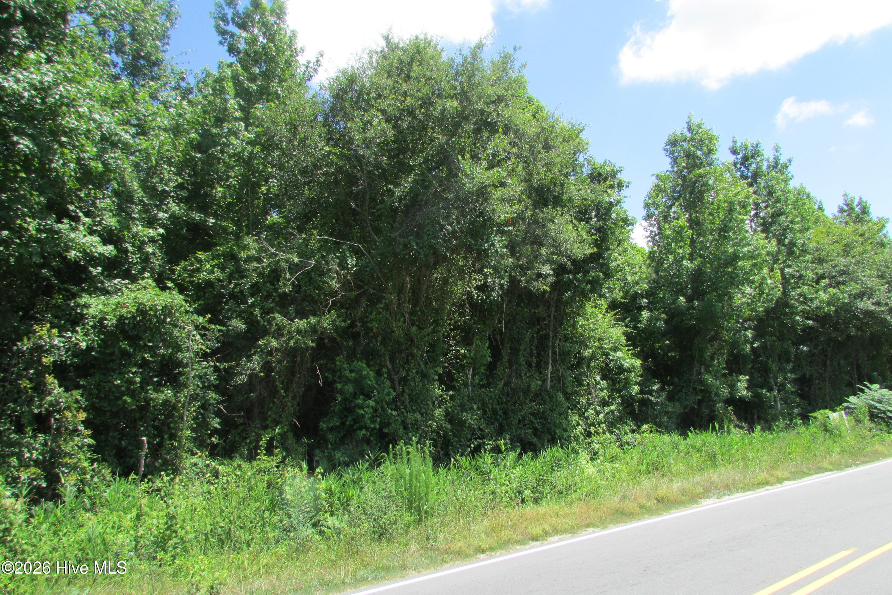 Undeveloped at 3180 Roseboro Highway, Clinton, NC 28328, photo 3 of 3