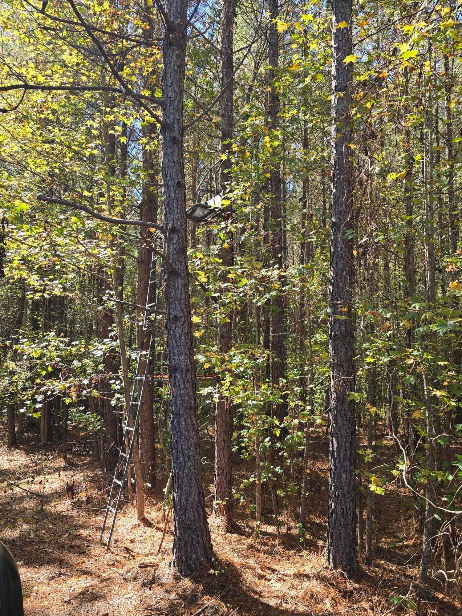 Mixed Use at 7501 Rainey Morris Road, Appling, GA 30802, photo 34 of 47