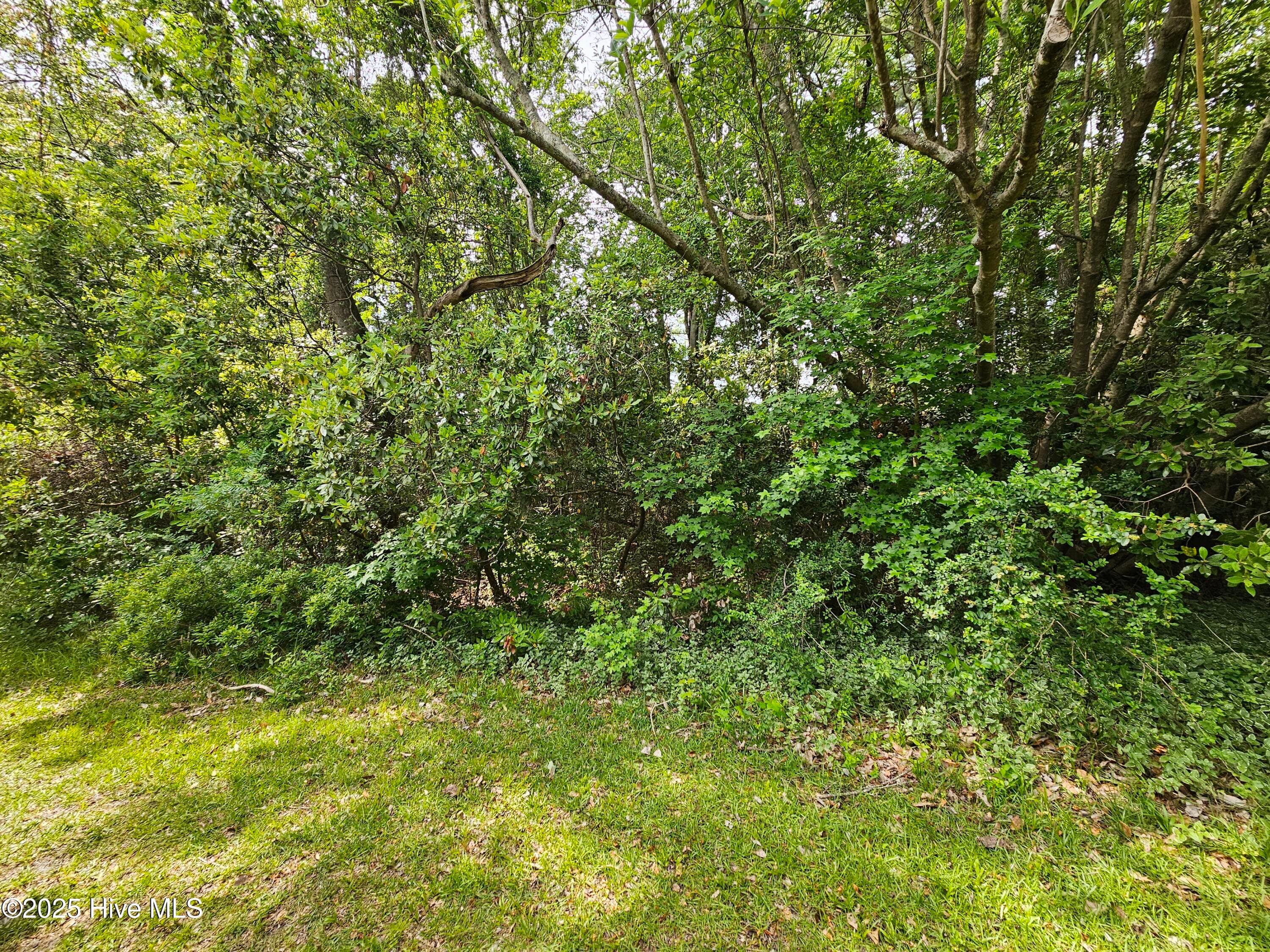 Residential Land at 1203 34 Petite Terre Court, New Bern, NC 28560, photo 2 of 7