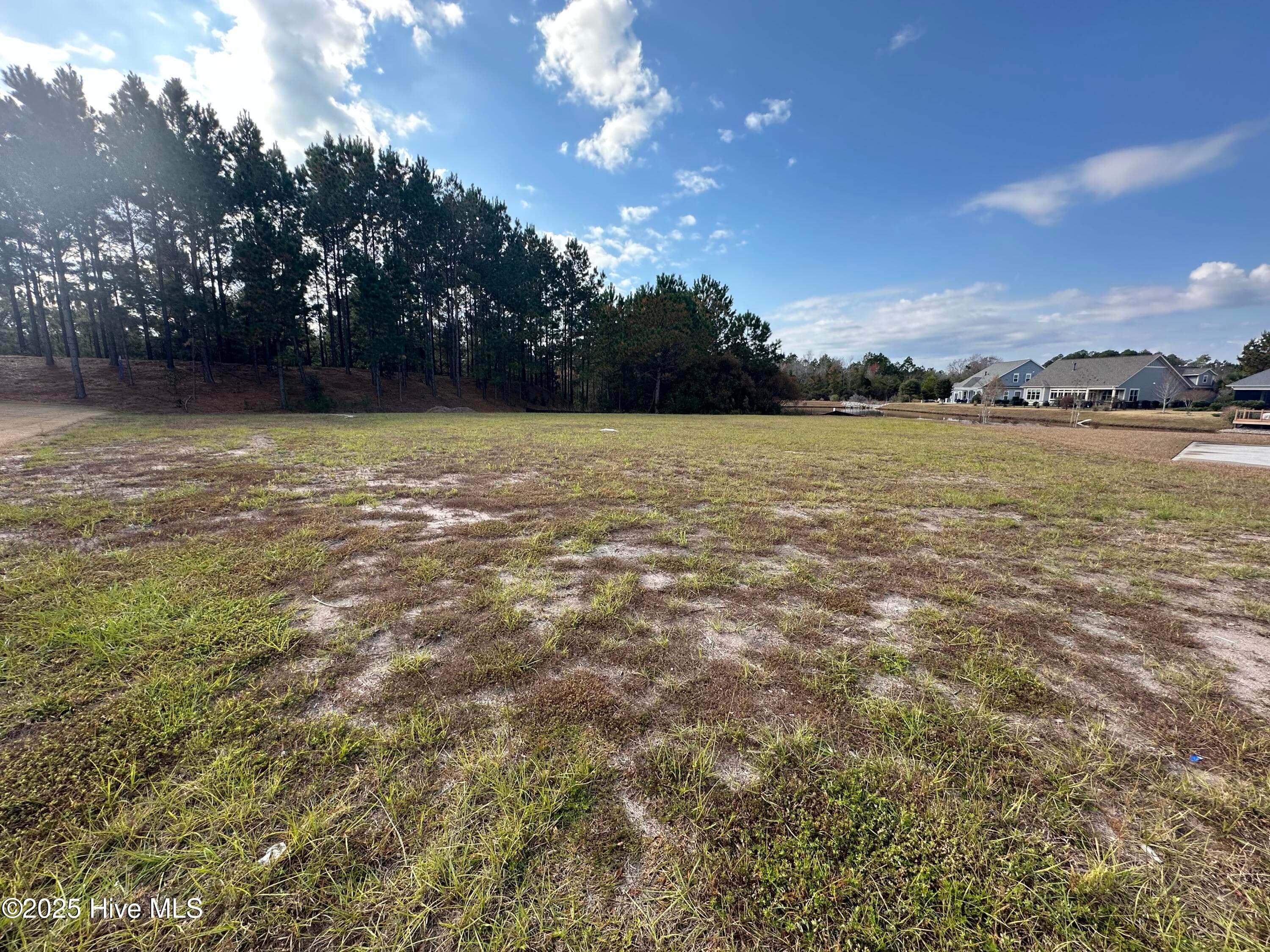 Residential Lot at 2216 Palm Pointe NE, Leland, NC 28451, photo 3 of 4