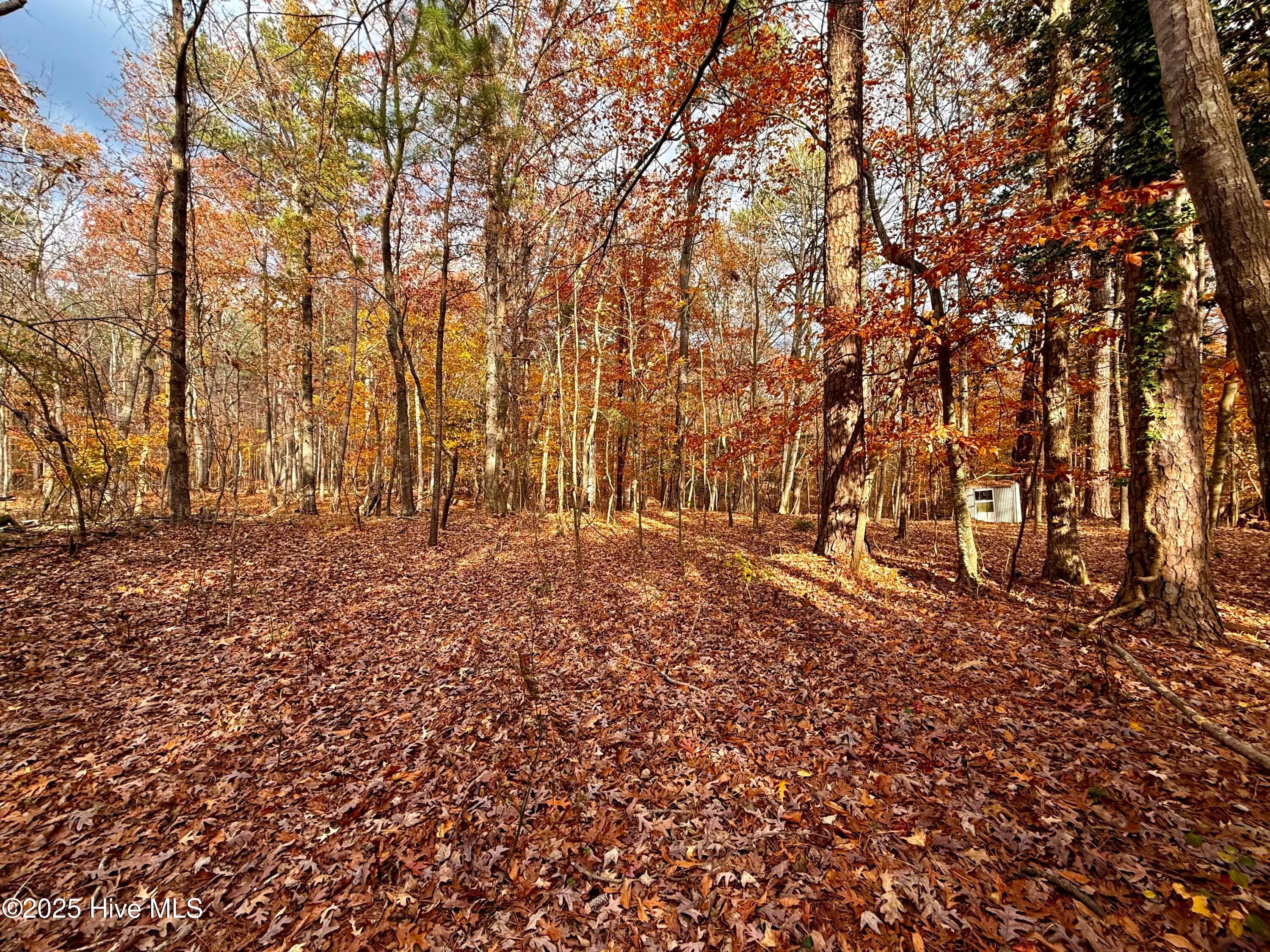 Wooded at 0 Williams Road, Williamston, NC 27892, photo 14 of 16