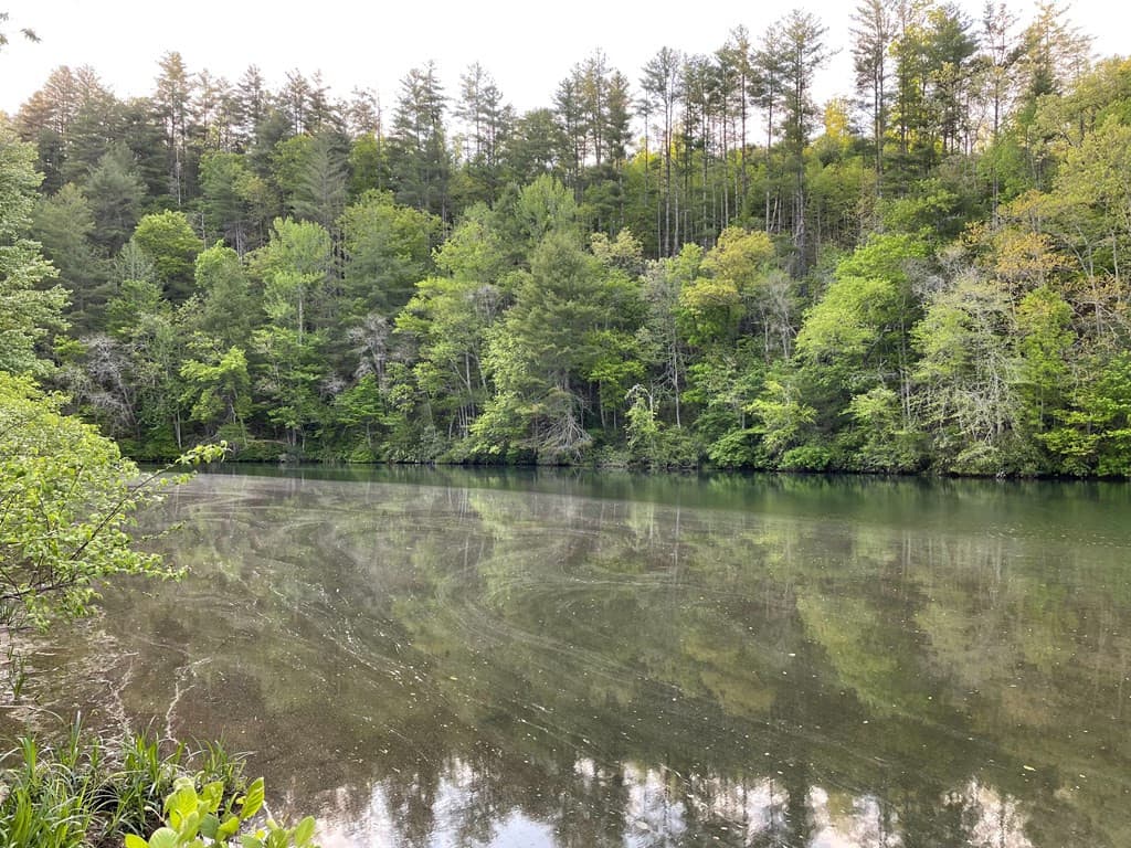 Land at N/A Trillium Heights, Hayesville, NC 28904, photo 8 of 25