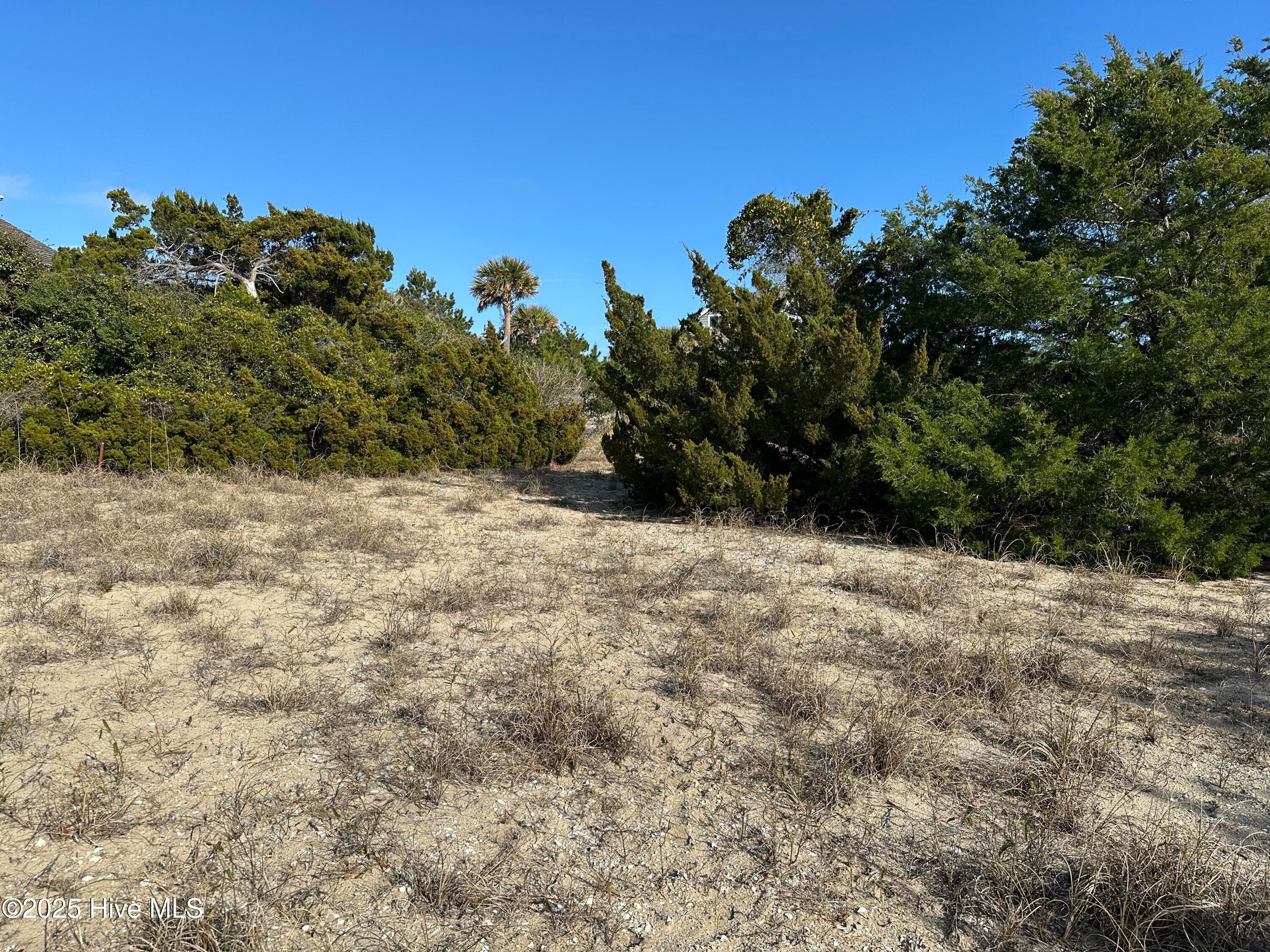 Residential Lot at 5 261 Sea Lavender Court, Bald Head Island, NC 28461, photo 7 of 22