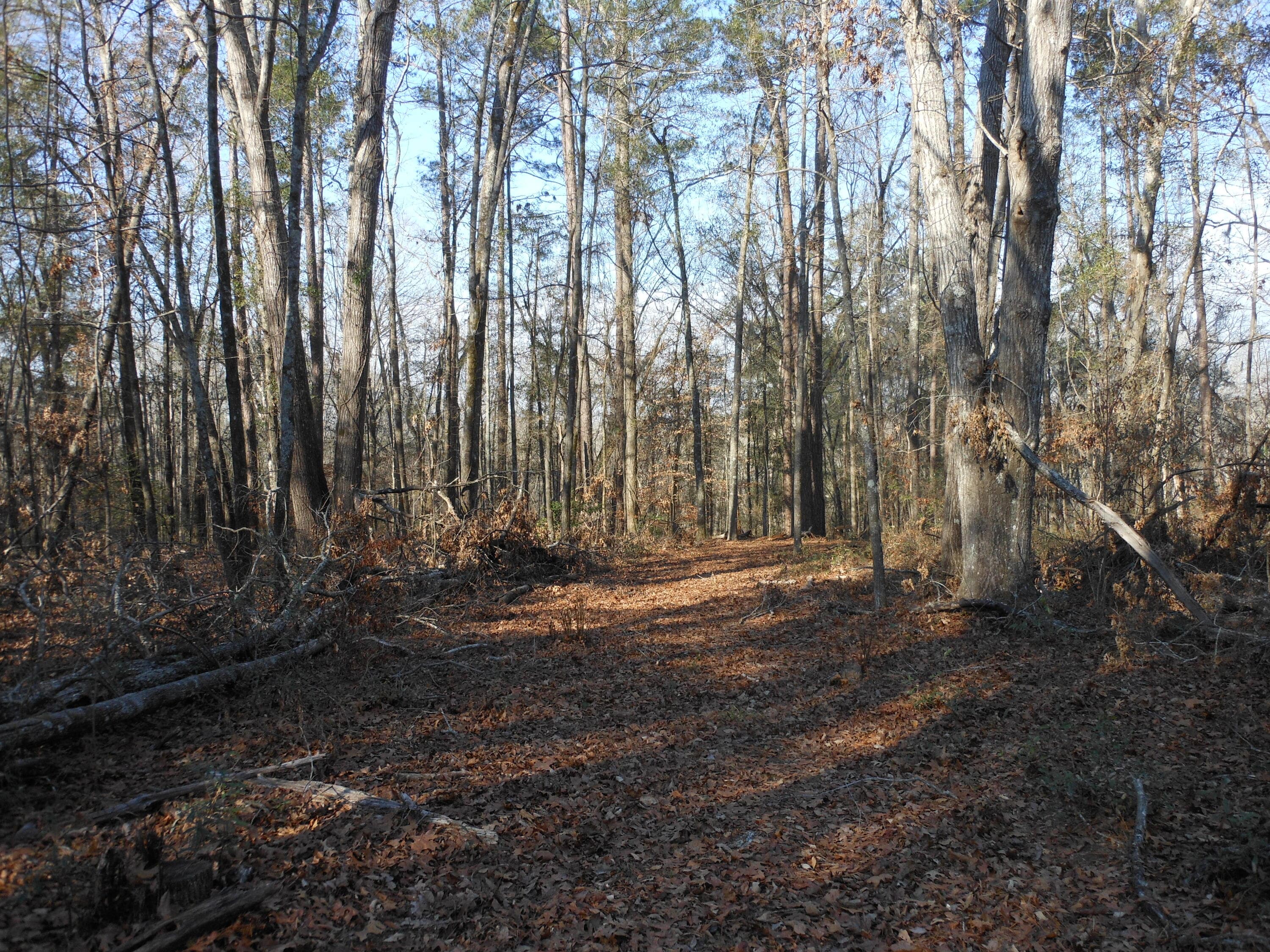 Undeveloped at 0 Ponderosa Road, Waynesboro, GA 30830, photo 25 of 45