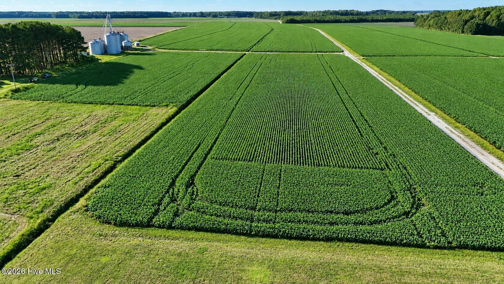 Agriculture at 617 1 Meadstown Road, Elizabeth City, NC 27909, photo 12 of 14