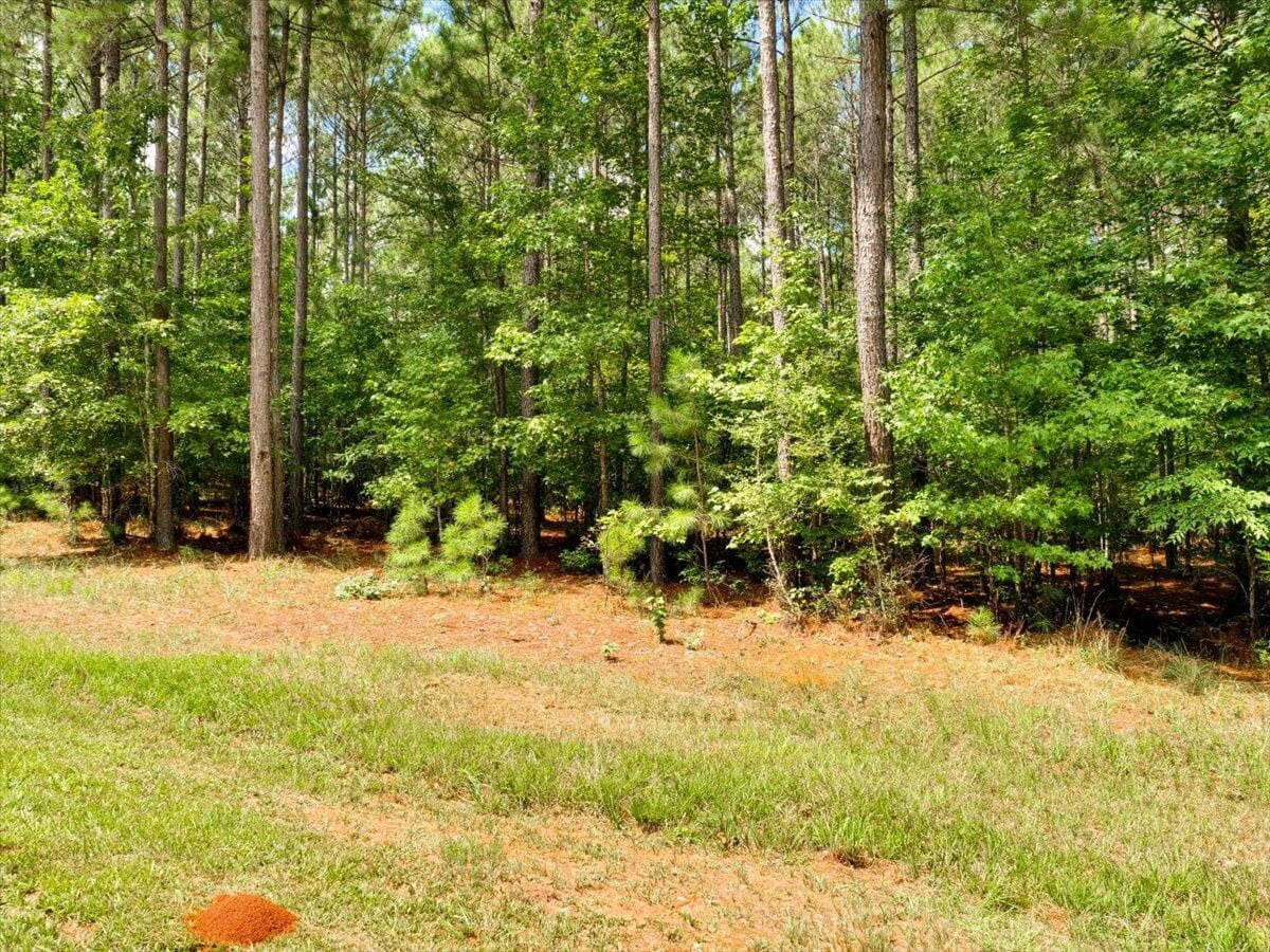 Residential Lot at Lot 58 58 Lighthouse Pointe, Lincolnton, GA 30817, photo 4 of 31