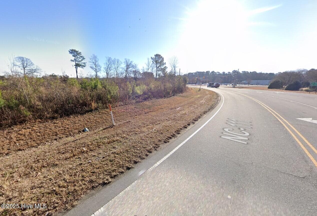 Commercial Sale at 111 241 Highway Lot 2, Beulaville, NC 28518, photo 4 of 5