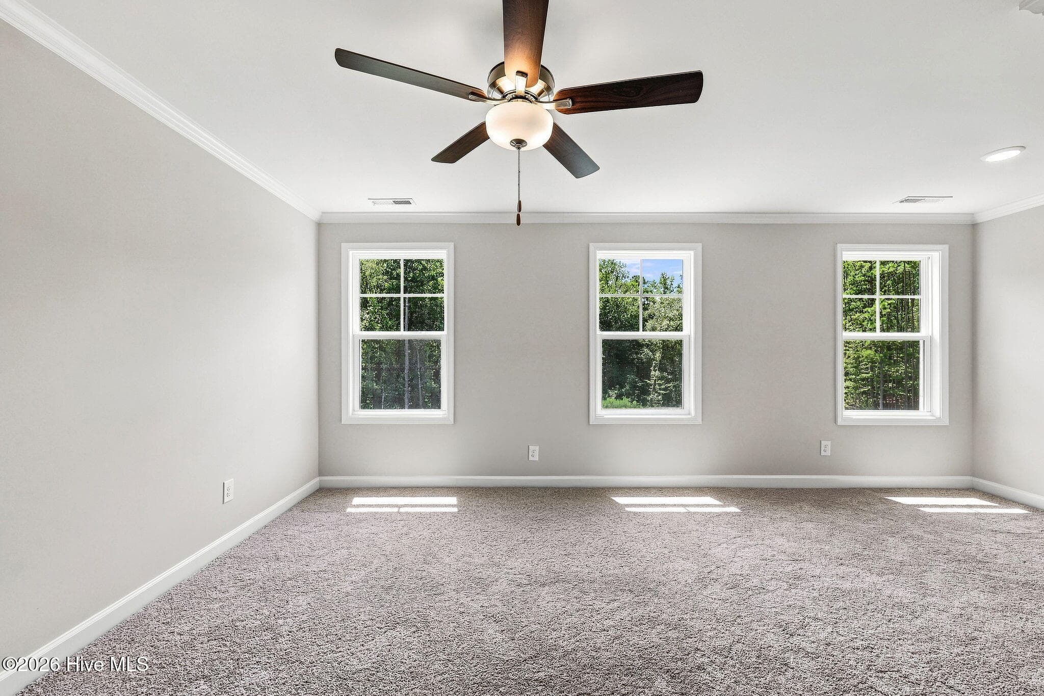 Townhouse at 232 Elijah Way 8, Vass, NC 28394, photo 157 of 200