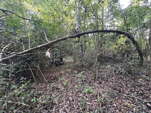 Undeveloped at 2576 Jessie James Pond Road, Wrens, GA 30833, photo 29 of 56