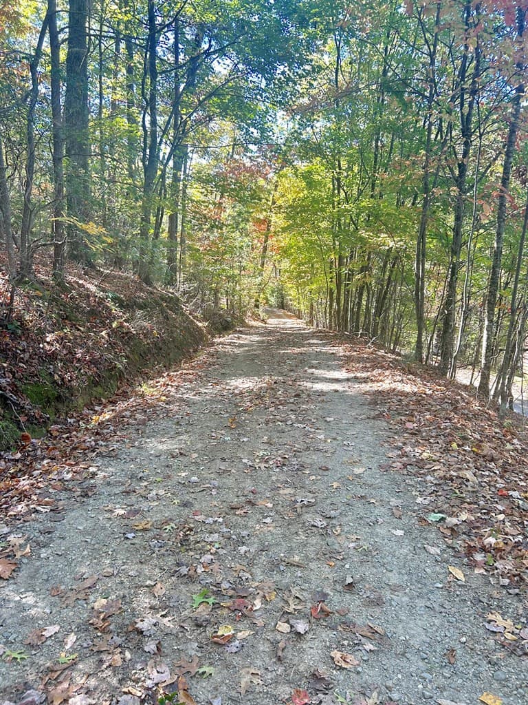 Residential Lot at Lot 4 4 Ridgeline, Brasstown, NC 28902, photo 4 of 4