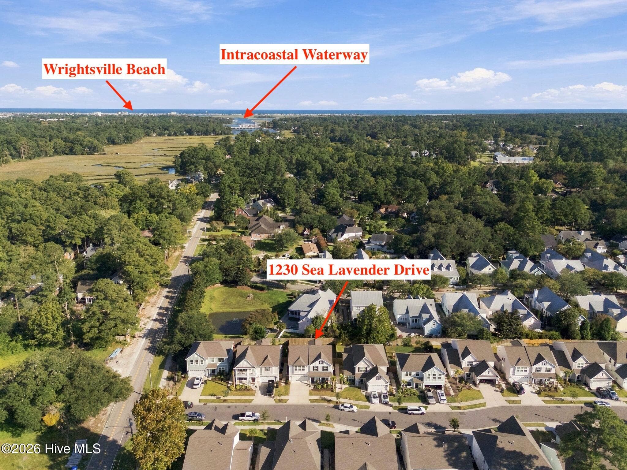 Single Family Residence at 1230 Sea Lavender Drive, Wilmington, NC 28403, photo 3 of 43