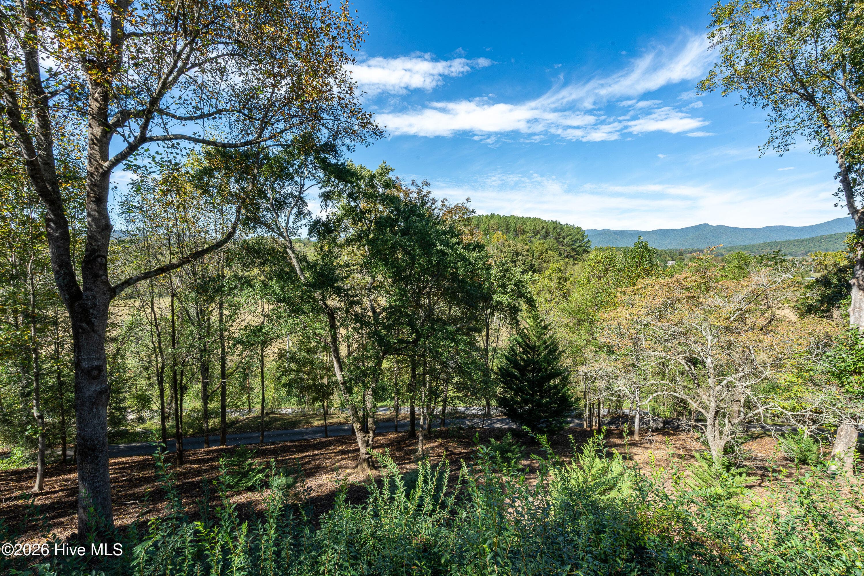 Single Family Residence at 201 Primrose Lane, Hayesville, NC 28904, photo 20 of 55