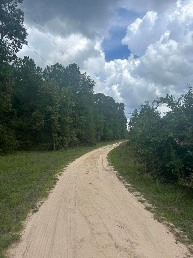 Undeveloped at Tbd Johnston Highway, Trenton, SC 29847, photo 5 of 7