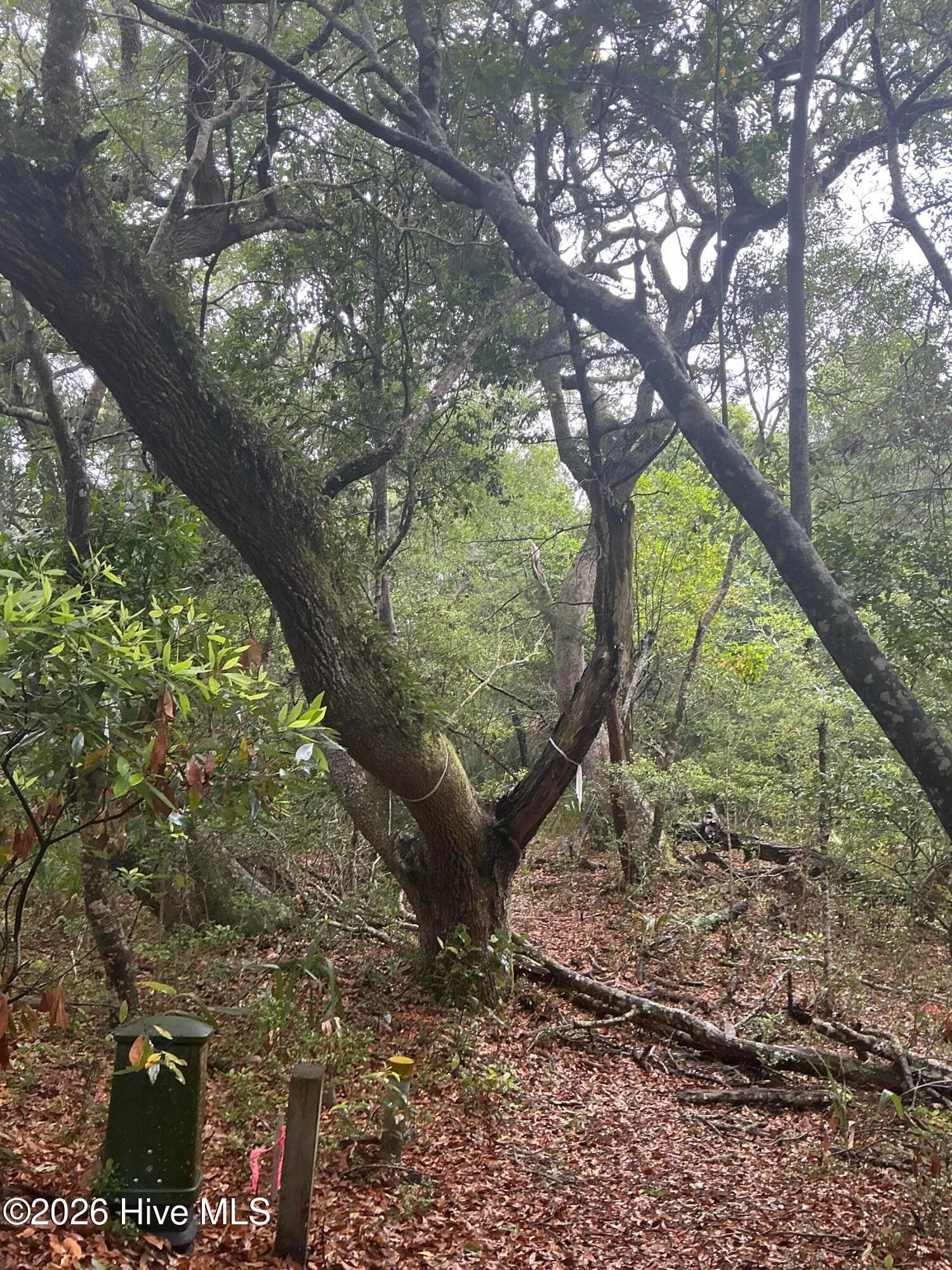 Residential Lot at 8 18 Leopard Frog Court, Bald Head Island, NC 28461, photo 7 of 8