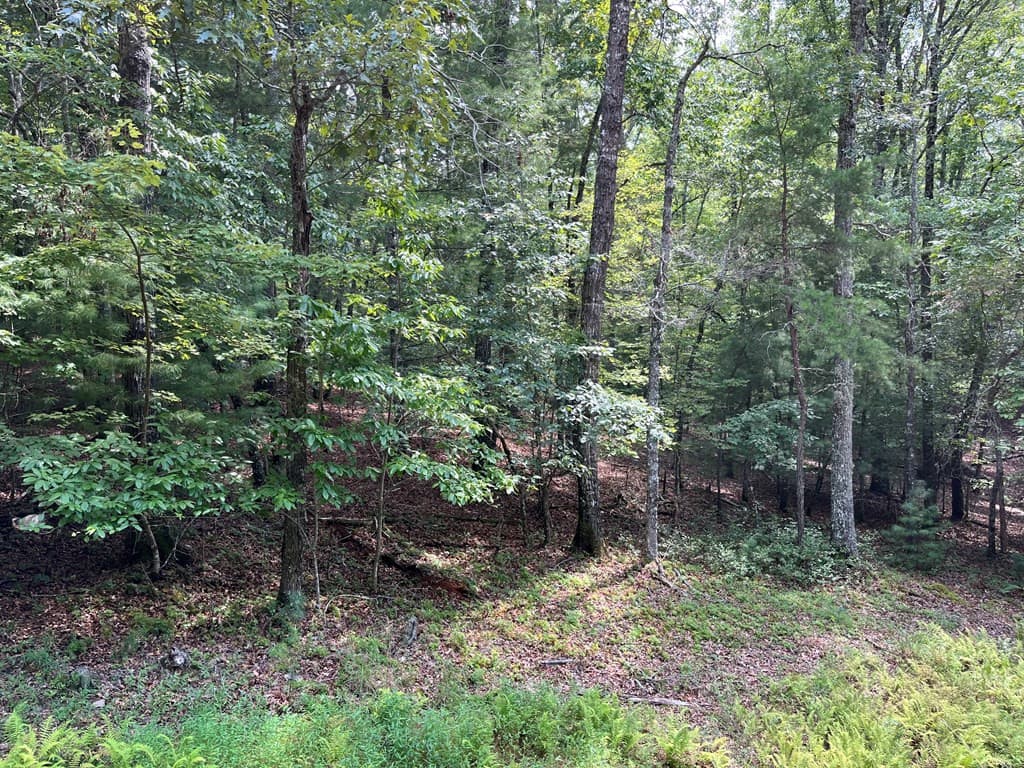 0 Sheep Knob, Murphy, NC 28906