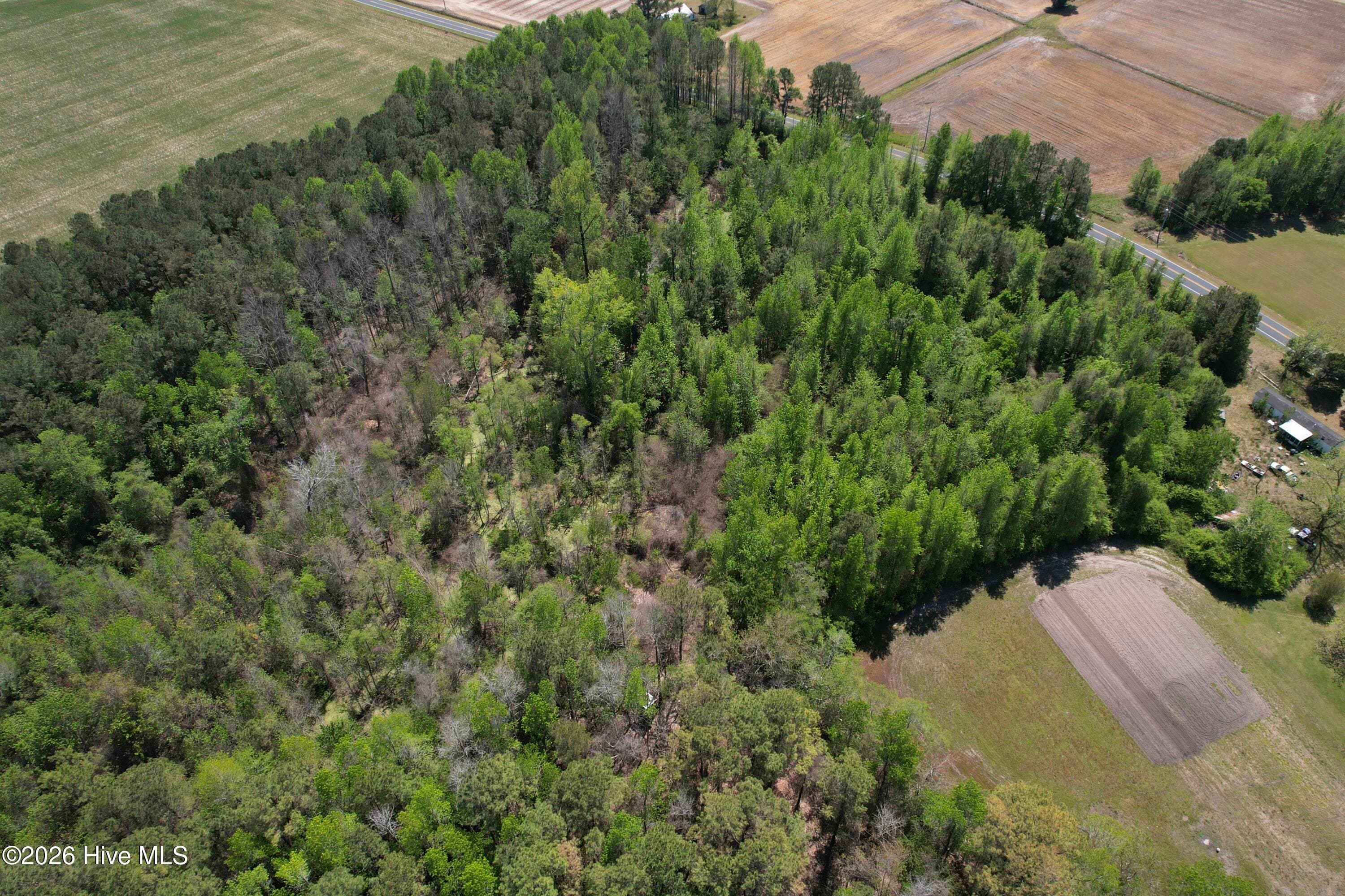 Undeveloped at 4758 Princess Ann Road, Chadbourn, NC 28431, photo 4 of 5