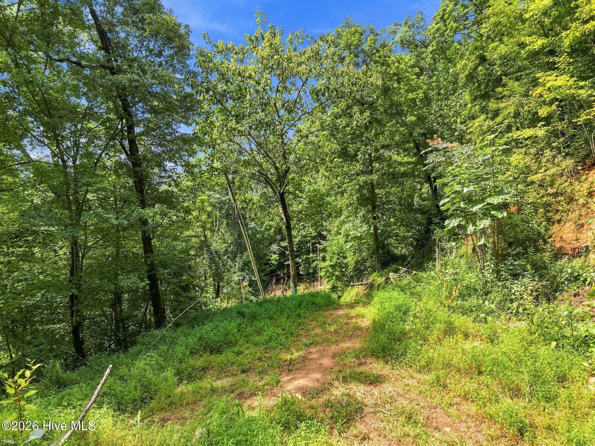 Additional Building Site - 4 Sunset Farms Road, Whittier, NC 28789, Whittier