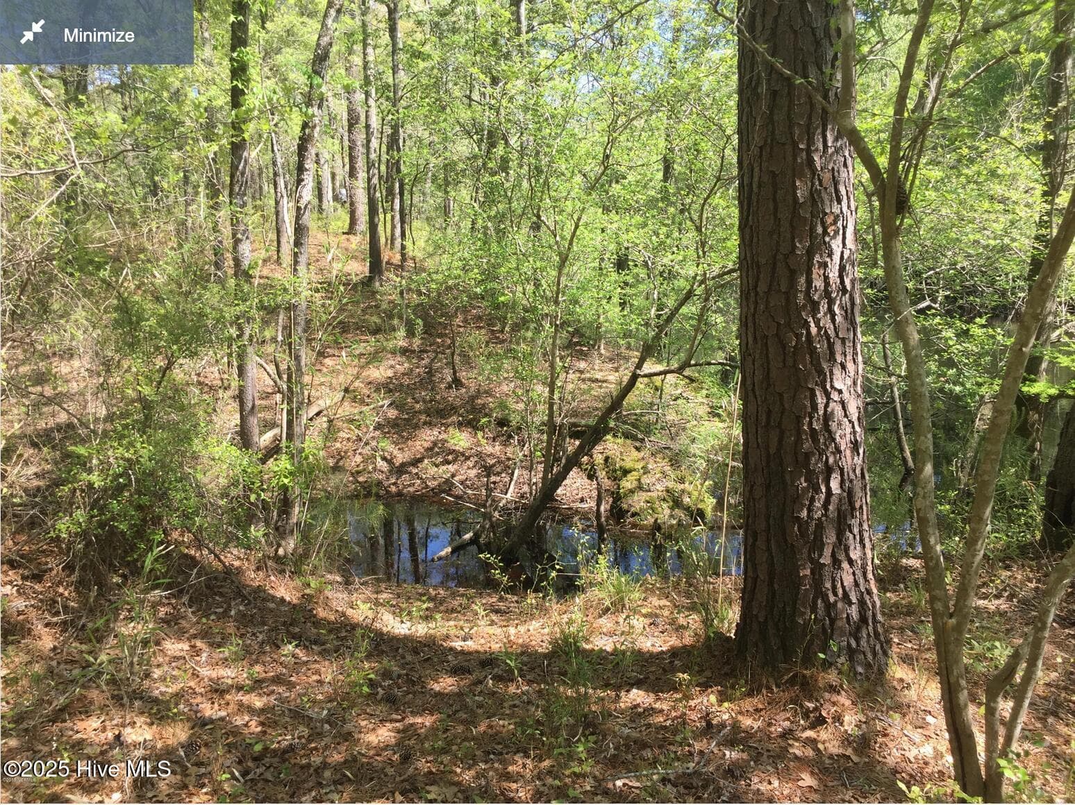 Residential Lot at 0 6 Hwy 53, Burgaw, NC 28425, photo 5 of 5