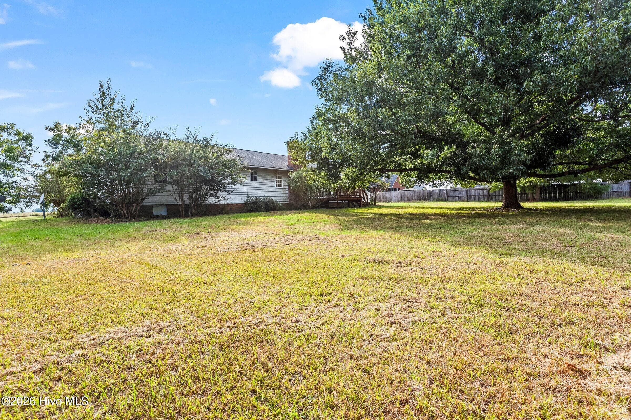 You have to see this gorgeous tree in person! - 1951 Stagecoach Road NE, Thomson, GA 30824