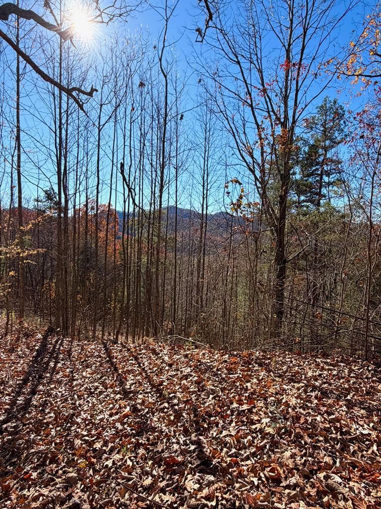 Residential Lot at Lot 13 13 View Ridge Trail, Murphy, NC 28906, photo 6 of 11