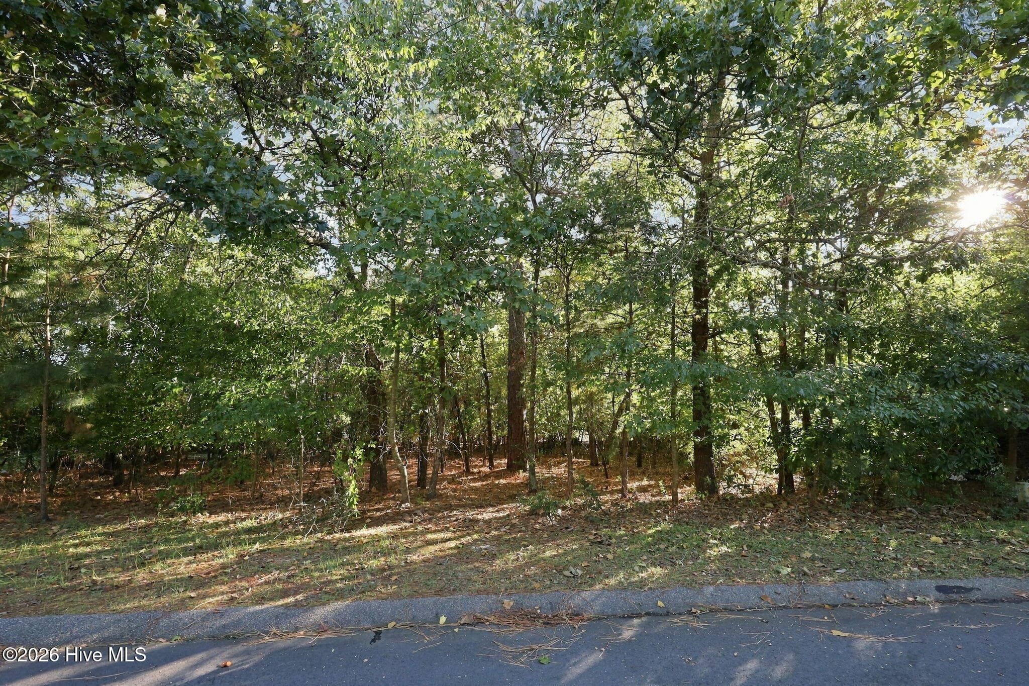Residential Lot at 144 3104 Simmons Drive, Seven Lakes, NC 27376, photo 14 of 27