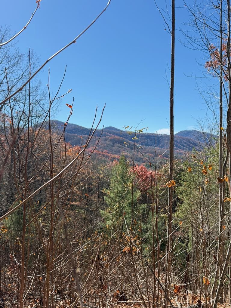Residential Lot at Lot 13 13 View Ridge Trail, Murphy, NC 28906, photo 4 of 11